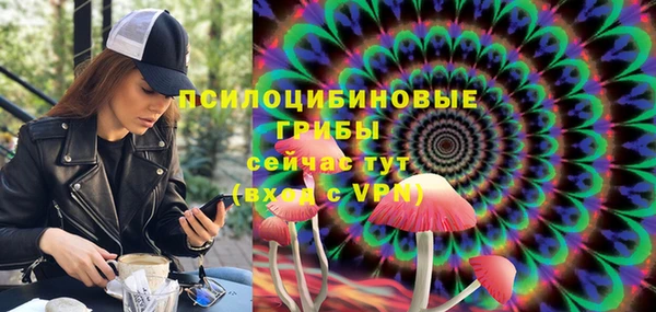 кокс Баксан