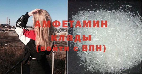 ПСИЛОЦИБИНОВЫЕ ГРИБЫ Аркадак