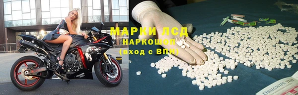 ПСИЛОЦИБИНОВЫЕ ГРИБЫ Аркадак