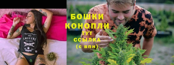 соль ск Арсеньев
